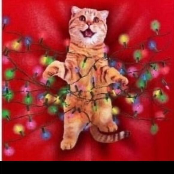 Fifth Sun women’s tabby cat tangled Christmas light graphic SSM - Picture 1 of 4